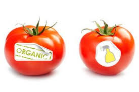 organic vs non organic food