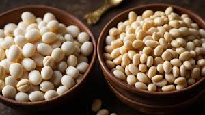 northern white beans vs canellini beans